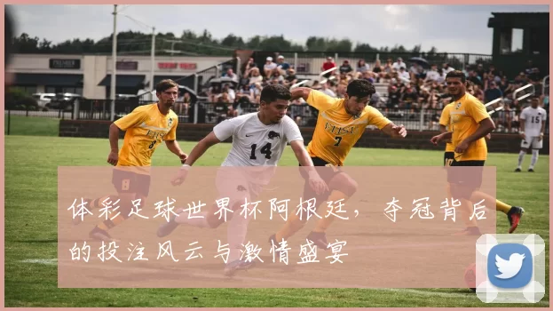 体彩足球世界杯阿根廷，夺冠背后的投注风云与激情盛宴