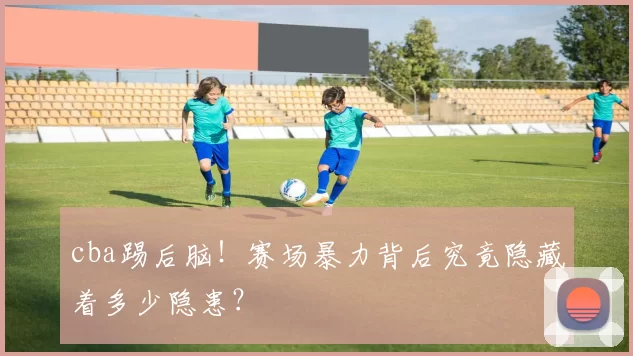 cba踢后脑！赛场暴力背后究竟隐藏着多少隐患？