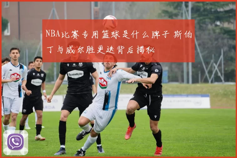 NBA比赛专用篮球是什么牌子 斯伯丁与威尔胜更迭背后揭秘