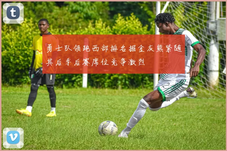 勇士队领跑西部排名掘金灰熊紧随其后季后赛席位竞争激烈