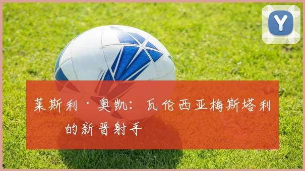 莱斯利·奥凯：瓦伦西亚梅斯塔利亚的新晋射手