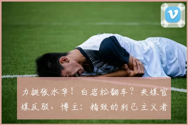 力挺张水华！白岩松翻车？央媒官媒反驳，博主：精致的利己主义者